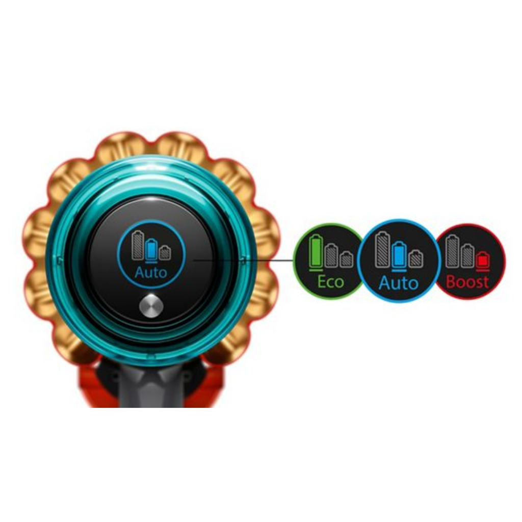 Dyson V15 Detect™ Absolute Cordless Vacuum Cleaner (Gold)